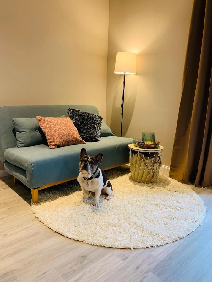 Anderswo Apartments Langenau Zewnętrze zdjęcie